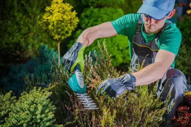 landscaping services Ballville